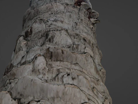 Palm Tree Trunk 3D Model