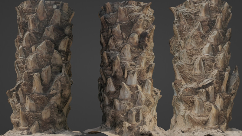 Palm Tree Modello 3D .c4d .max .obj .3ds .fbx .stl .blend