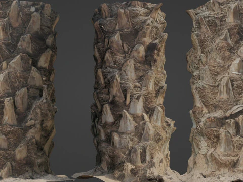 Пальма 3D Модель