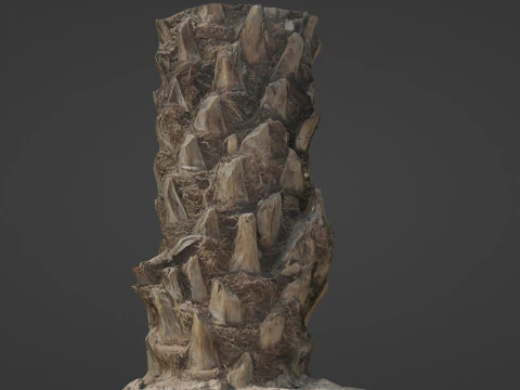 Palm Tree 3D Model