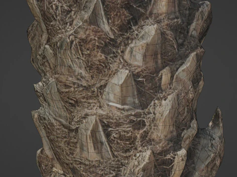 Palm Tree 3D Model