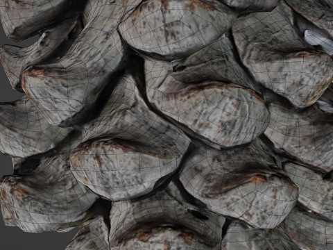 Pine cone Modelo 3D