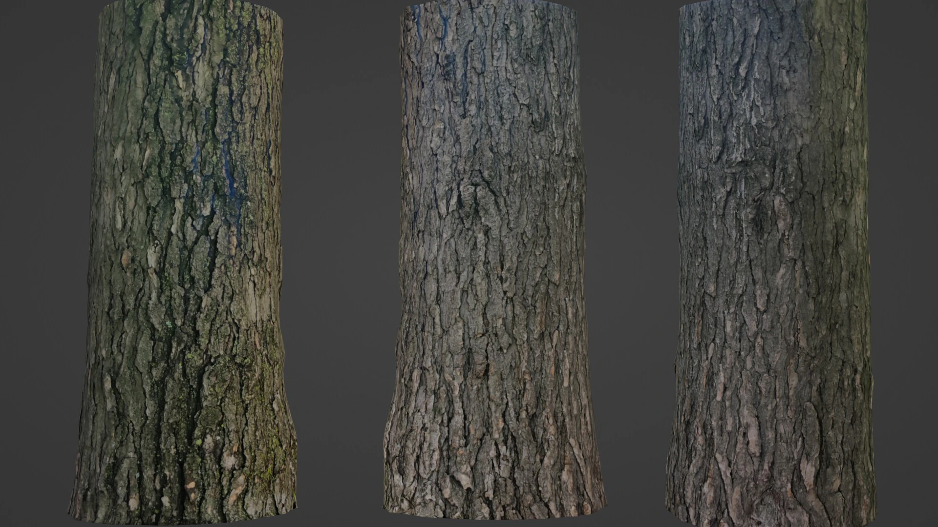 Tree trunk 3D Model .c4d .max .obj .3ds .fbx .stl .blend 