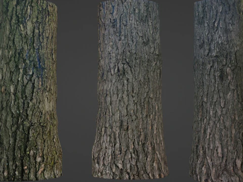 나무 줄기 3D 모델