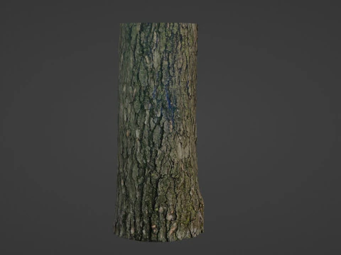 Tree trunk 3D Model