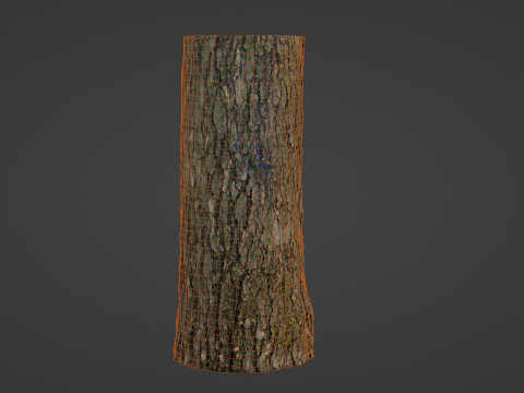 Tree trunk 3D 模型