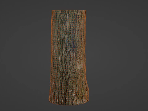 Tree trunk 3D Model