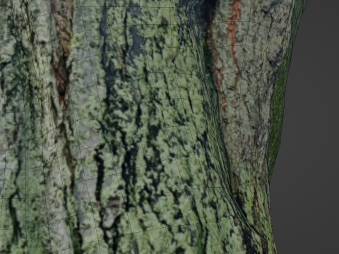 Mossy tree Modello 3D