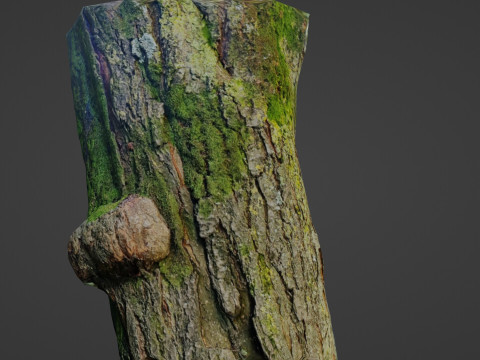 Mossy tree Modello 3D