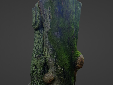 Mossy tree Modello 3D