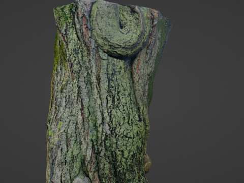 Mossy tree Modello 3D