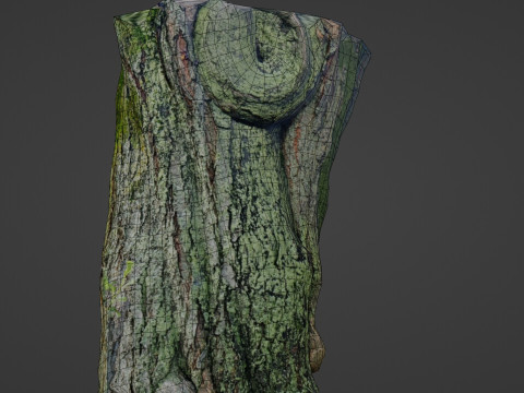 Mossy tree Modello 3D