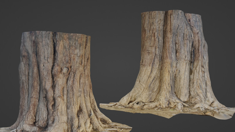 Tree old 3D Model .c4d .max .obj .3ds .fbx .stl .blend