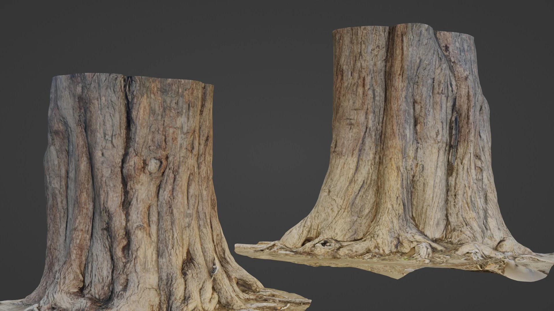 Tree old 3D Model .c4d .max .obj .3ds .fbx .stl .blend