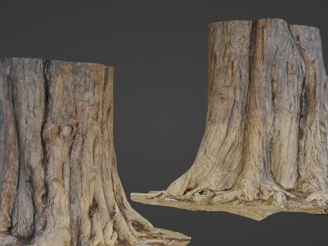 Tree old 3D Model