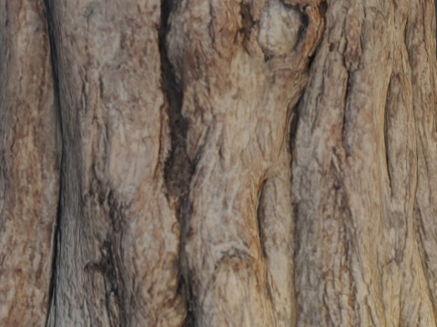 Tree old 3D Model