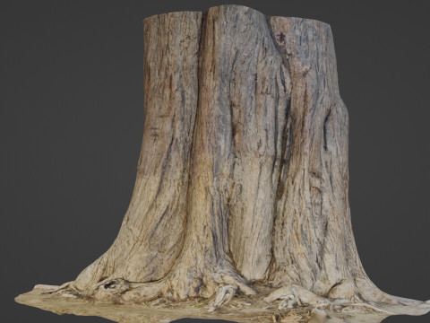Tree old 3D Model