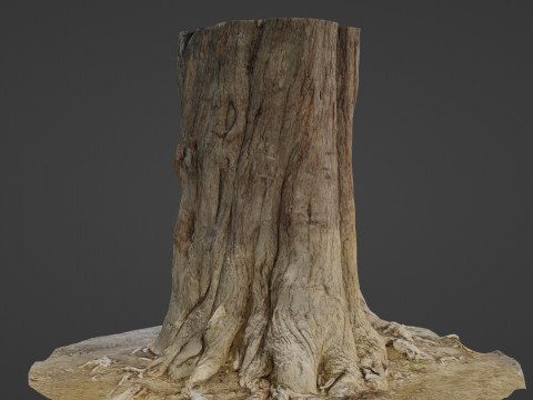 Tree old 3D Model