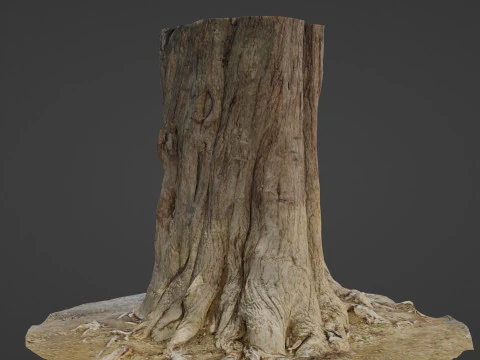 Tree old 3D Model