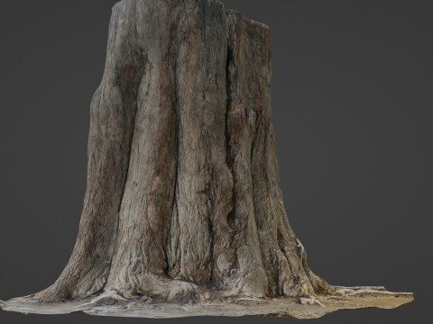 Tree old 3D Model