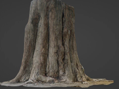 Tree old 3D Model