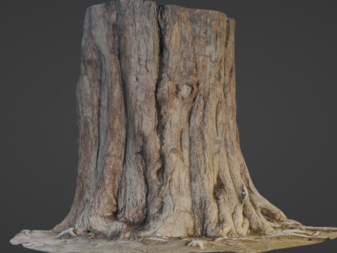 Tree old 3D Model