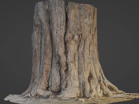 Tree old 3D Model