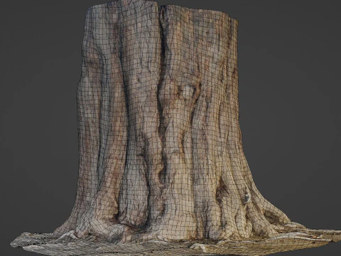 Tree old 3D Model