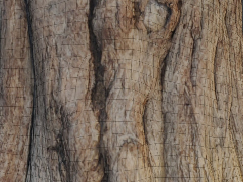 Tree old 3D Model