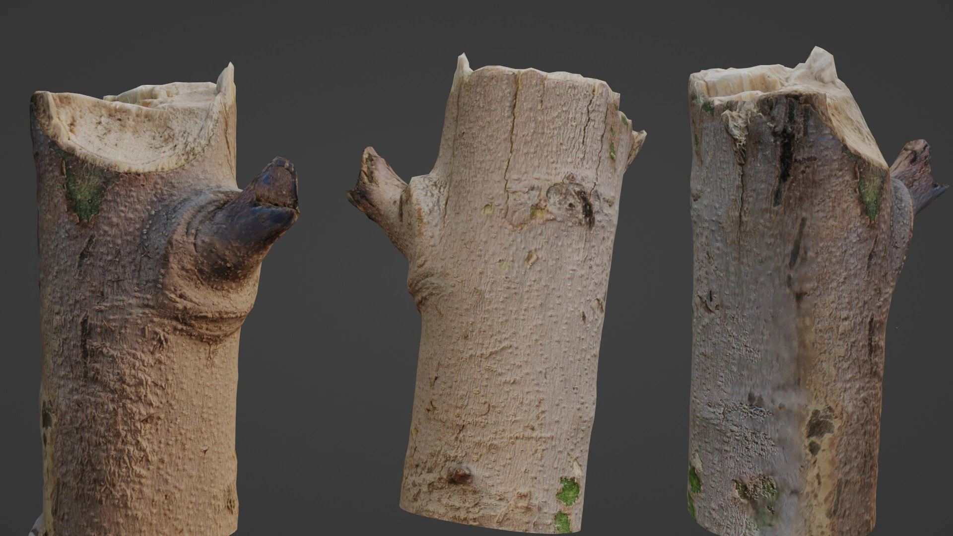 Tree log 3D Model .c4d .max .obj .3ds .fbx .stl .blend 