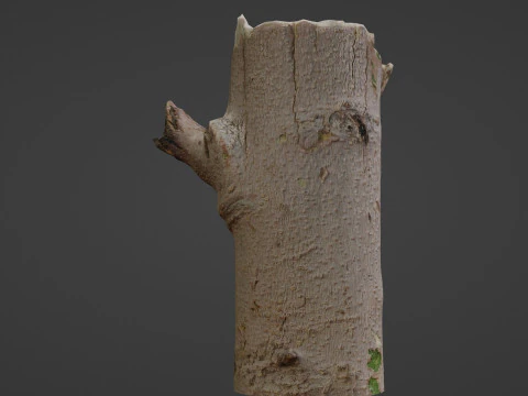 Tree log 3D Model