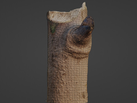 Tree log 3D Model