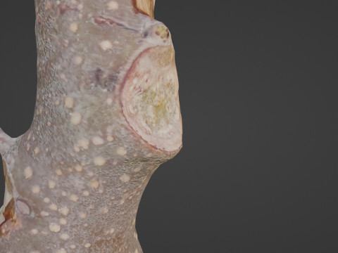 Log 3D-Modell