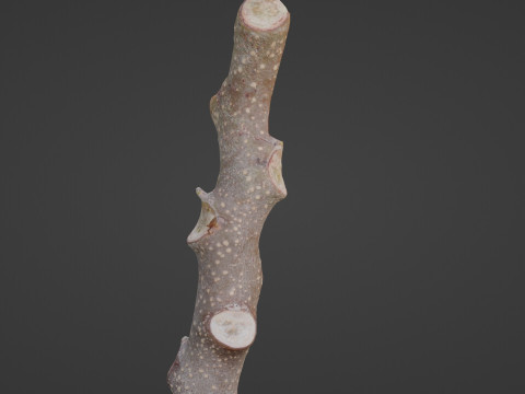 Log 3D-Modell