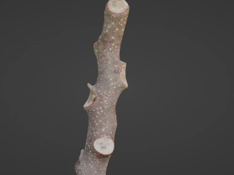 Log 3D Model