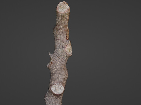 Log 3D-Modell