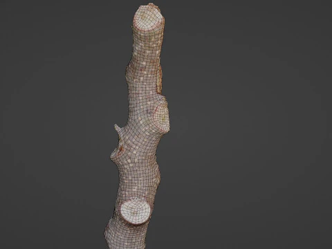Log 3D Model