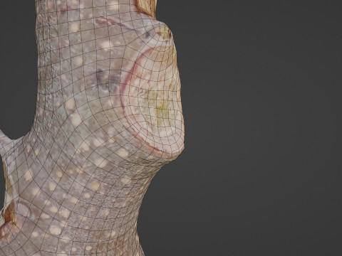 Log 3D-Modell