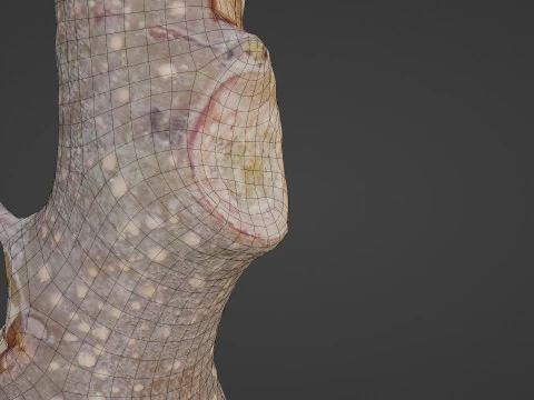 Log 3D Model