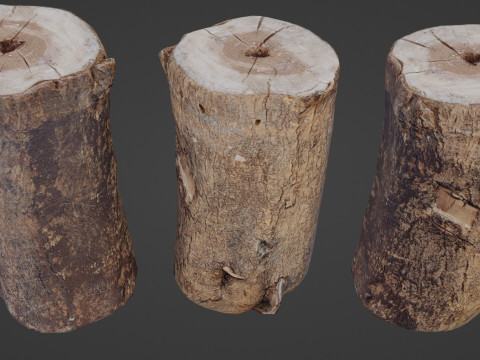 Realisitc log Modèle 3D