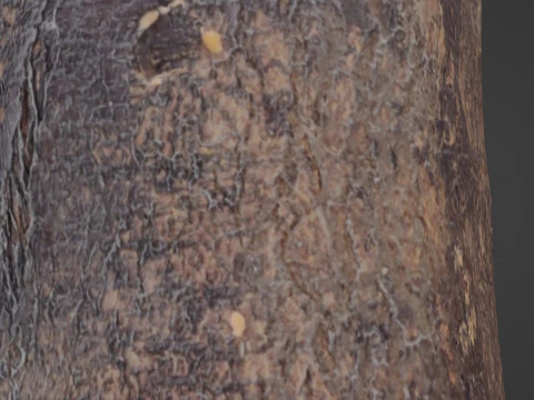 현실적인 로그 3D 모델