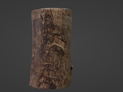 Realisitc log Modello 3D