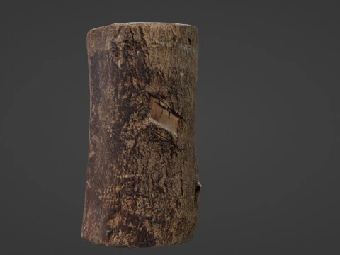 현실적인 로그 3D 모델