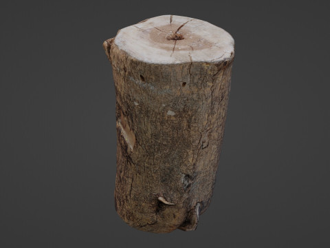 Realisitc log Modello 3D
