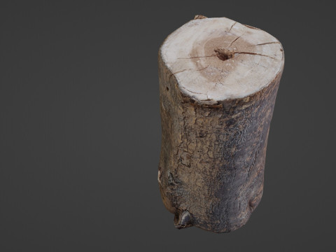 Realisitc log Modello 3D