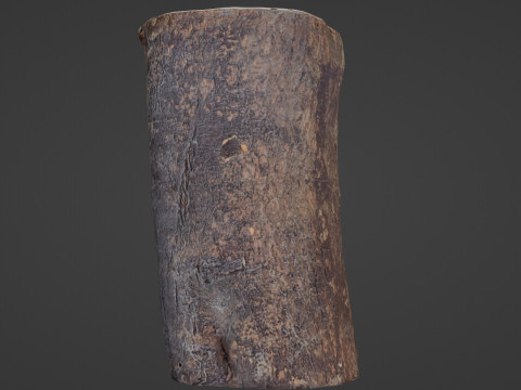 Realisitc log Modello 3D