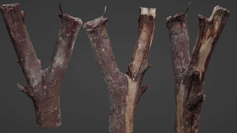 Log splited 3D Modell .c4d .max .obj .3ds .fbx .stl .blend