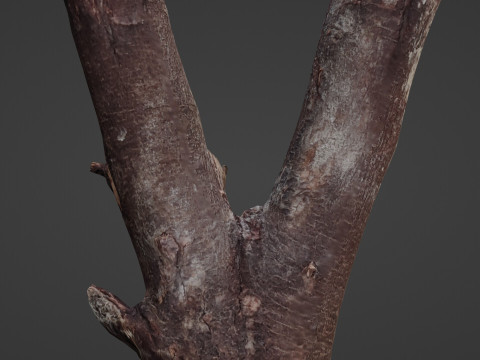 Log splited 3D Modell