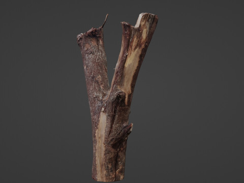 Log splited 3D Modell