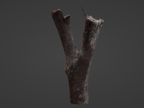 Log splited 3D Modell